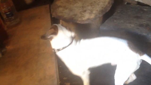 Инвалид за 10лет из камней сделал себе...2 часть