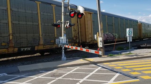 TRAINS CN Auto Racks at Perrot Blvd North Level Crossing смотреть онлайн