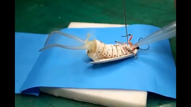 Крик моли » Видео из 100500 смотреть онлайн