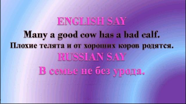 ??? English Russian Proverbs 10 ??? Английские и русские пословицы 2020 смотреть онлайн