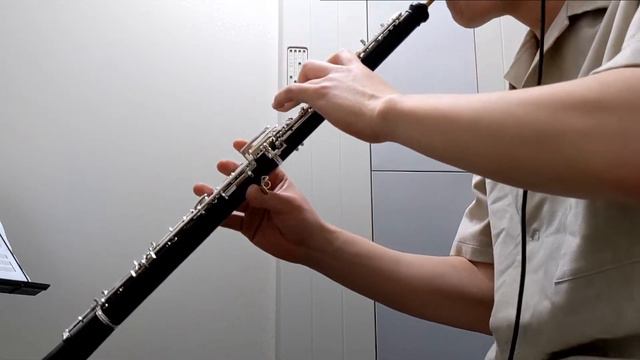 【Oboe Cover】Qingce Village Night Version / The Fading Stories【Genshin Impact】