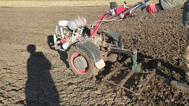 закриваємо вологу, мотоблоком мотор січ, під посів в 2023р смотреть онлайн