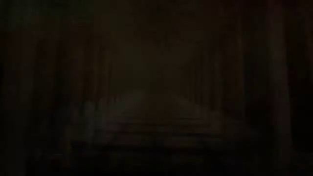 SOULCALIBUR™Ⅵ_Mao Mao Vs Shin Mao (Both Sizes)