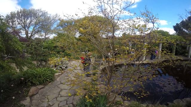 Open Garden Day - AL RU Farm OCT 2017 смотреть онлайн