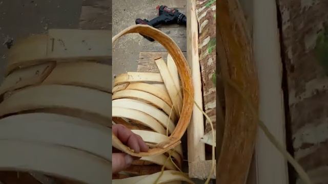 борти для диких пчел горизонтальные смотреть онлайн
