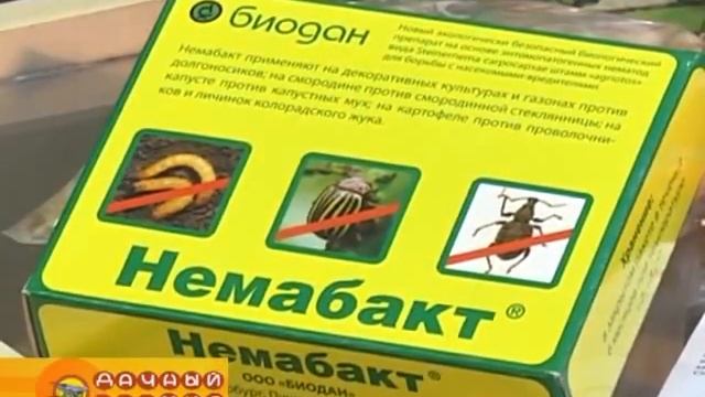 Немабакт. Средство от вредителей | Магазин "Семена Самара" смотреть онлайн