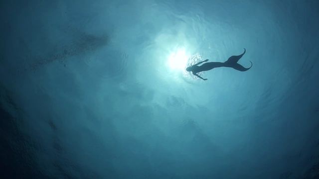 ?Voices Of A Mermaid _ Emotional Ambient Female Vocals - Rafael Krux