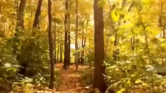 # заговор чтоб отвадить от сына беспутную подружку# смотреть онлайн