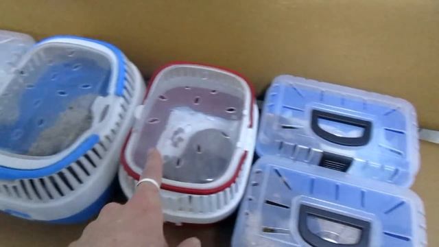 Крысы | Прощайте бубенцы, или поездка в "Ласку". (Fancy Rats | Декоративные крысы) смотреть онлайн