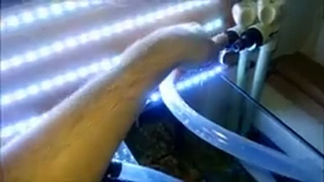 Частичная подмена воды в аквариуме 240 литров смотреть онлайн