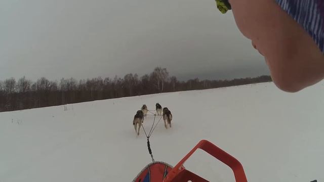 Зимняя сказка, день 1, 4ка смотреть онлайн