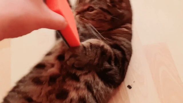 Рукоделие и Забавы