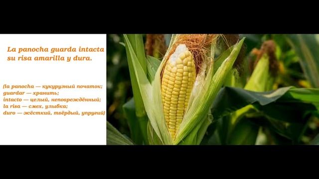 Федерико Гарсиа Лорка "Август" : разбор и осмысление смотреть онлайн