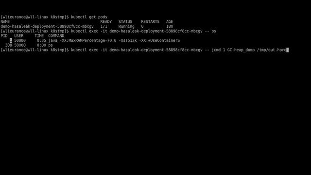 Getting a heap dump from a running java app in kubernetes смотреть онлайн