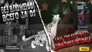 Как бесплатно получить донатного питомца. Компаньен пабг мобайл