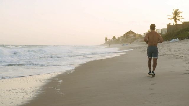 цикорий смотреть онлайн