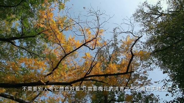 《墨梅》元.王冕 《全国华小学古诗～四年级篇》（说说唱唱） 罗豪 演唱 （更多诗词唱成歌 欢迎签购372粉丝俱乐部） смотреть онлайн