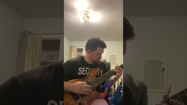 Playing with new schecter reaper 7. First chugs смотреть онлайн