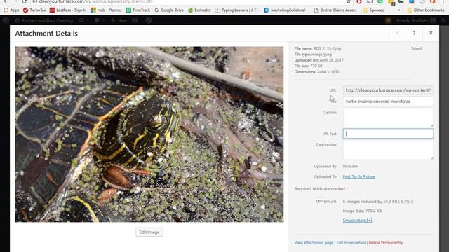 How to add title and alt tags to images in WordPress смотреть онлайн