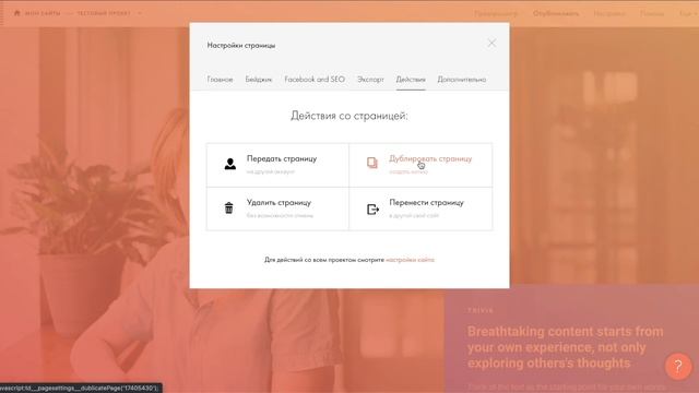 НАСТРОЙКИ СТРАНИЦЫ  Обзор платформы Тильда  Выпуск 3