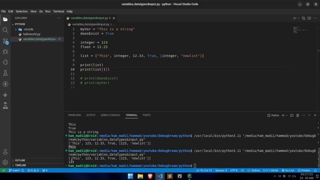 Variables, Data Types, Comments, and Input() Function | Python Tutorial In Hindi смотреть онлайн