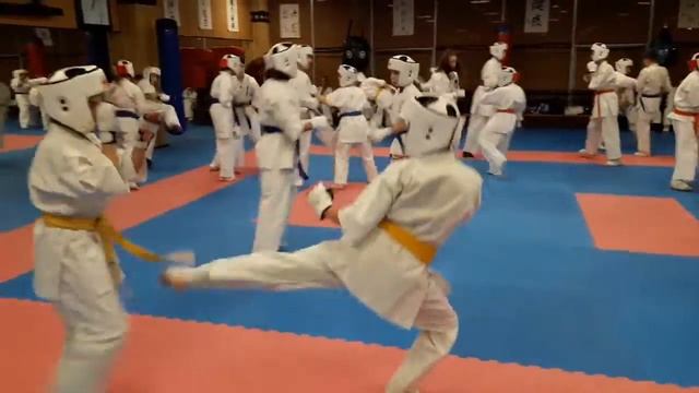 Зимние сборы спарриноговая тренировка 10-13 лет 25.01.2020 смотреть онлайн