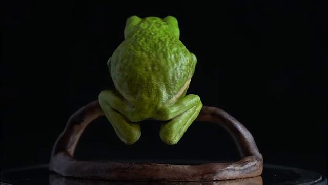 Waxy Monkey Frog - 3D Print sculpted in Nomad Sculpt on the iPad. смотреть онлайн