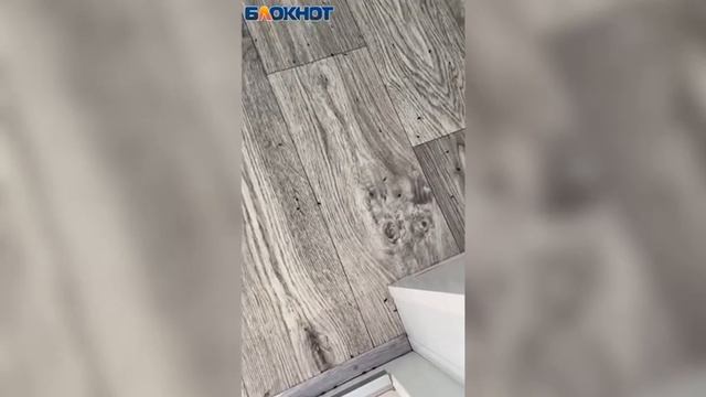 Жучки и грязный подъезд: УК ООО «Лада Дом» не следит за своими домами смотреть онлайн