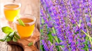 Как Можно Очистить Легкие в Домашних Условиях