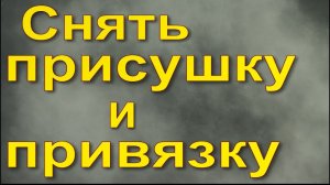 Снять присушку