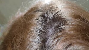 КАК ЗАТОНИРОВАТЬ  ВОЛОСЫ ПОСЛЕ ОСВЕТЛЕНИЯ?