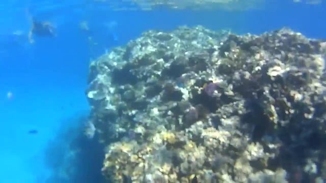 Египет - Хургада - январь 2015 - Sony HDR-AS20 смотреть онлайн