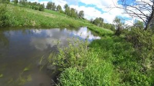 Как поймать крупного голавля. На что лучше всего клюёт голавль.