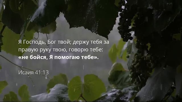 ИСЦЕЛЯЮЩЕЕ ДУШУ И ТЕЛО БОЖЬЕ СЛОВО _ Расслабься в Божьем присутствии _ Relaxing _ Смотри т смотреть онлайн