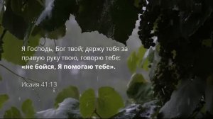 ИСЦЕЛЯЮЩЕЕ ДУШУ И ТЕЛО БОЖЬЕ СЛОВО _ Расслабься в Божьем присутствии _ Relaxing _ Смотри т