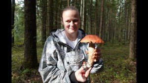 Грибная разведка 16 сентября 2023. Выборгский район