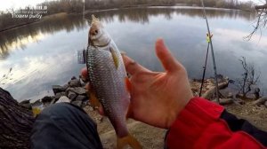 Узнай какую рыбу можно ловить в апреле! Рыбалка в апреле!