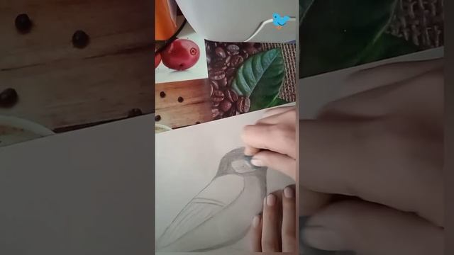 как нарисовать птичку-синичку смотреть онлайн