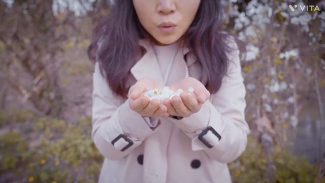 Japanese Meditation Music|Zen Meditation |Relaxing Piano Music смотреть онлайн