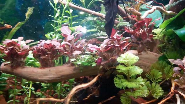 С внешника идут пузырьки, течи нет. смотреть онлайн