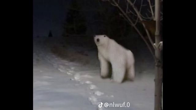 КРИПИПАСТА | "НОЯБЫРЬСКИЙ МЕМ 2026" | КОТОРЫЙ СТАНОВИТЬСЯ ОЧЕНЬ СТРАШНЫМ смотреть онлайн