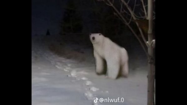 КРИПИПАСТА | "НОЯБЫРЬСКИЙ МЕМ 2026" | КОТОРЫЙ СТАНОВИТЬСЯ ОЧЕНЬ СТРАШНЫМ