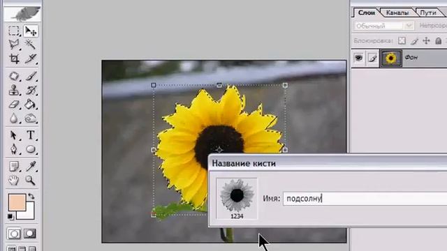 Как сделать кисть из фотографии в фотошопе? смотреть онлайн