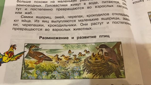 Окружающий мир/3 кл/Часть 1/Плешаков/Размножение и развитие животных/18.11.21 смотреть онлайн