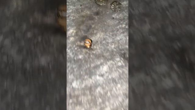 Уменьшить жиклёр своими руками лайфхак смотреть онлайн