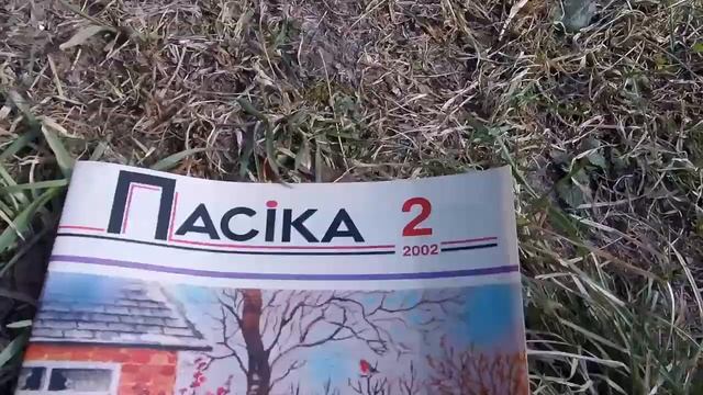 Пчелы берут обычную и подсоленную воду. смотреть онлайн