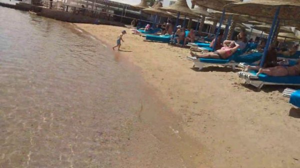 Вячеслав Зобов Египет, Хургада, отель Marlin Inn Azur Resort 2023, 3 марта