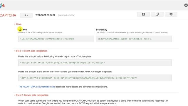 Google Re-Captcha - WordPress Security - Seu Site Feito смотреть онлайн