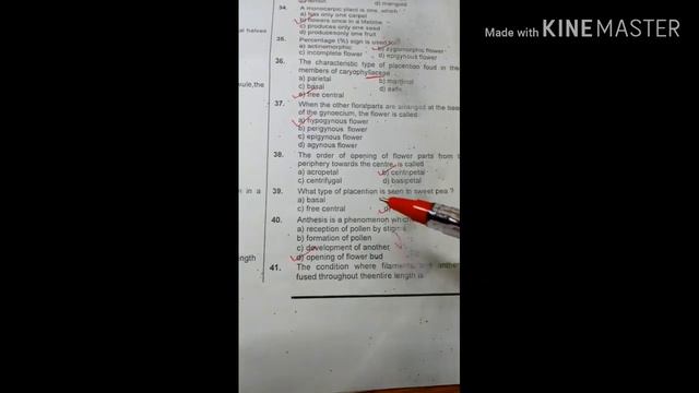Morphology of flowering plants objectives смотреть онлайн