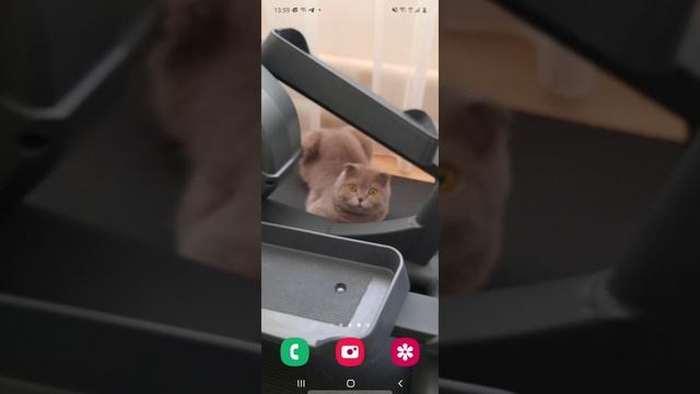 Почему значок вай фая с восклицательным знаком интернет же хороший? смотреть онлайн